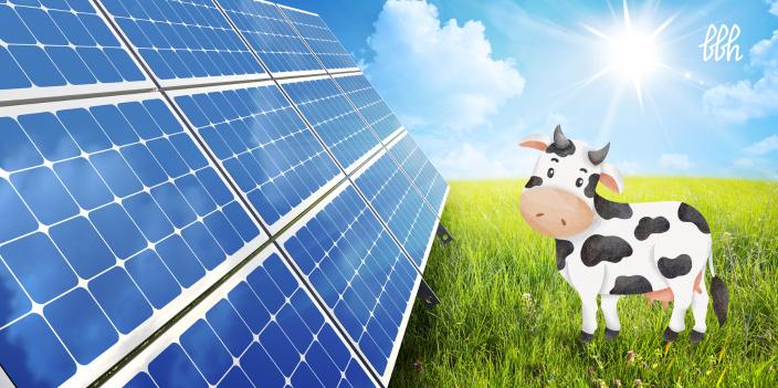 Agri-PV: Neue Definition berücksichtigt auch Tierhaltung