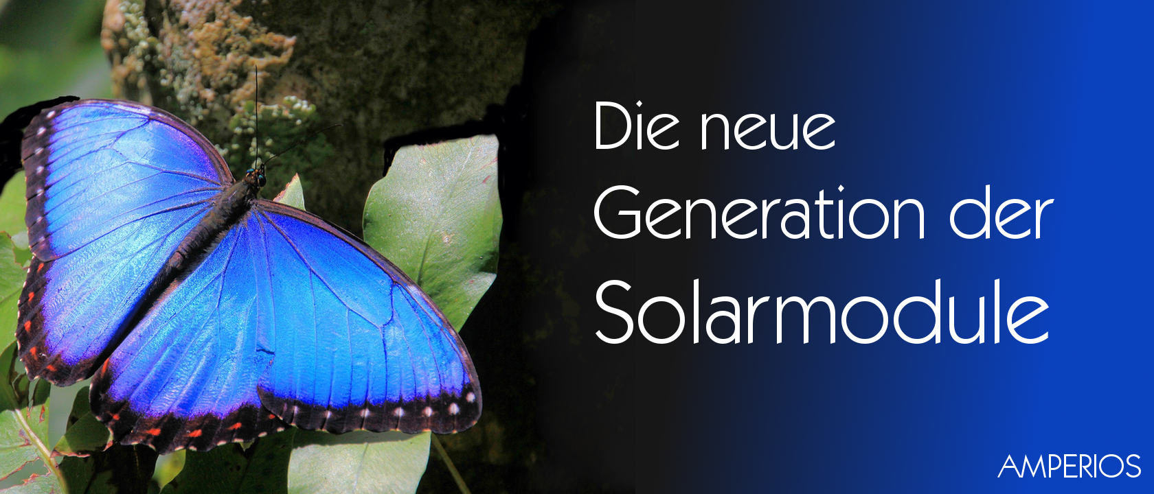 Es wird bunt! – Die neue Generation der Solarmodule